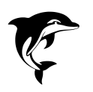 Setúbal Dolphins